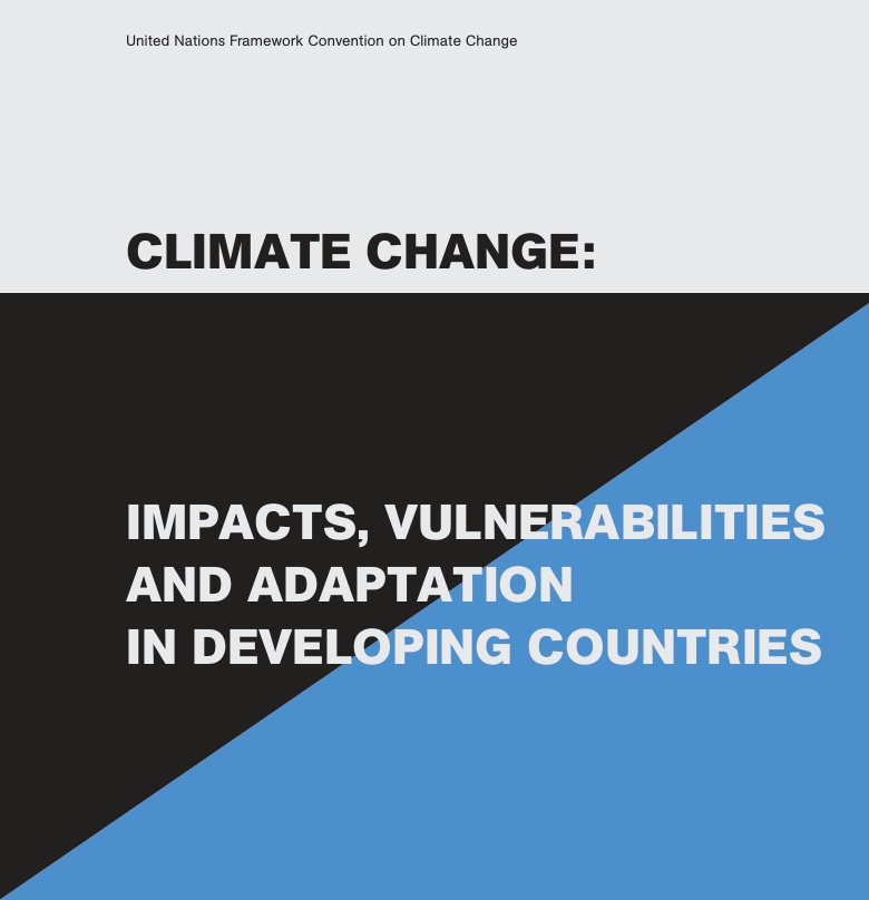CLIMATE CHANGE:  IMPACTS,  VULNERABILITIES AND ADAPTATION  IN DEVELOPING COUNTRIES