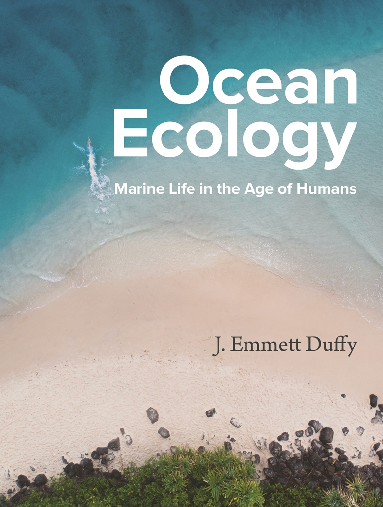 Ocean Ecology