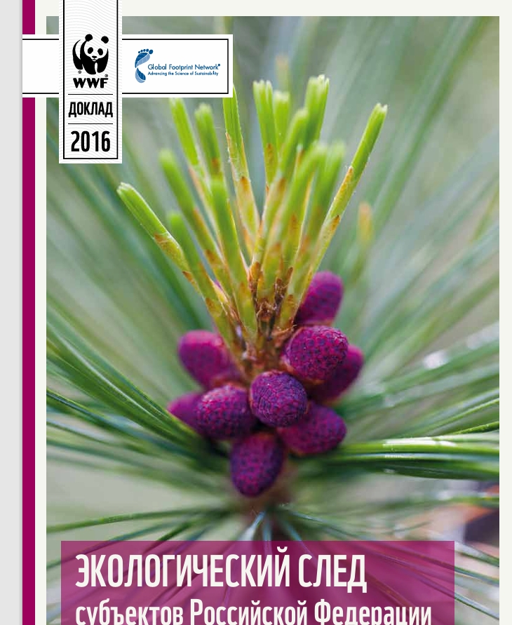 ECOLOGICAL FOOTPRINT of the constituent entities of the Russian Federation