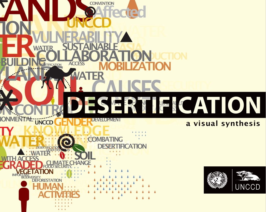 Desertification a visual synthesis