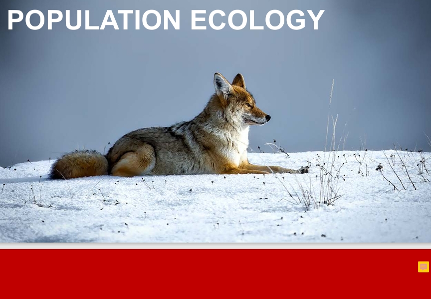 POPULATION ECOLOGY